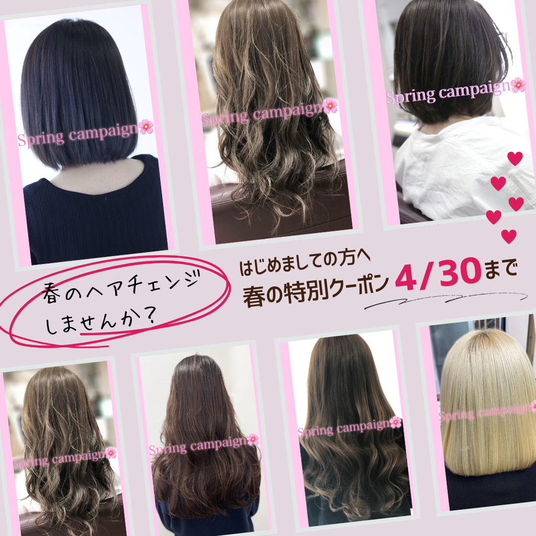 河内長野の美容室C-HOUSE｜春のヘアチェンジ｜ご新規様限定クーポン